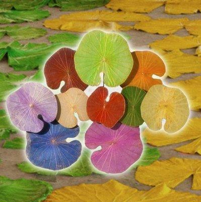 Looking to add a little spring color to your home before spring is really in bloom? Try our vibrant lotus leaf wall art sculptures