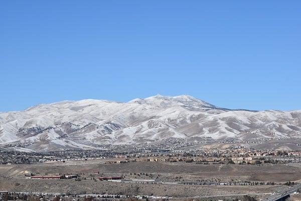 Pevine with snow