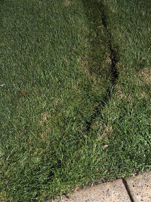 Damage to lawn