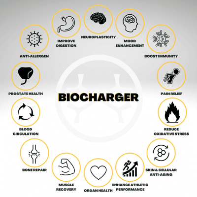 Bio Charger benefits