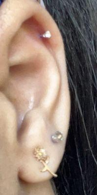 2mm Cartilage piercing and 2nd earlobe piecing