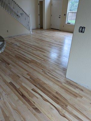 Premium Walnut Hardwood Flooring Installation.
Installation of natural walnut wood floors, sealed with Bona top coat.