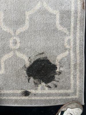 Before - Rug