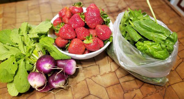 Beautiful vegetables from the CSA garden