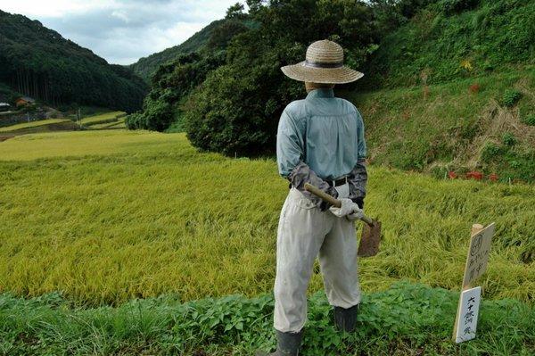 A Japanese scarecrow watches over the rice fields near Sasebo Japan