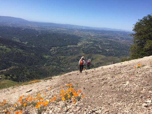 View from the summit