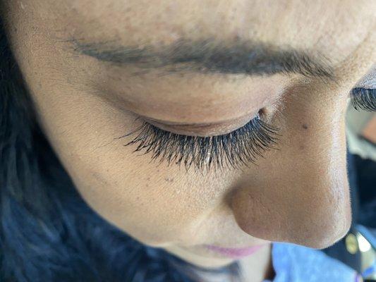 Eyelashes natural look, light