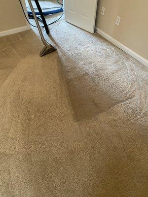 Extremely soiled carpet transformation(during the cleaning)