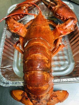 Steam lobster