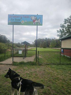 Entrance to the dog park is far back from the parking lot. Fallow the path to the left of the playground.