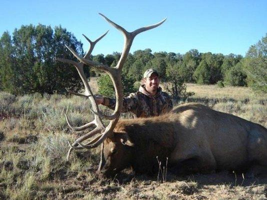 Trophy Bull