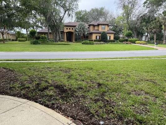 Roundtree Sod Services provided this grass.  Neighbors nor us are happy about this