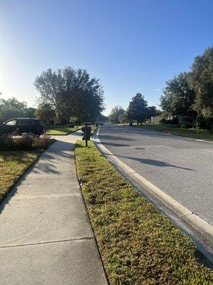 Mature trees and space between homes