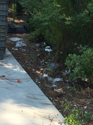 Debris from cardboard bins and garbage bay continues to litter greenways and walkways.