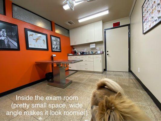 Exam room (wide angle makes it look larger)