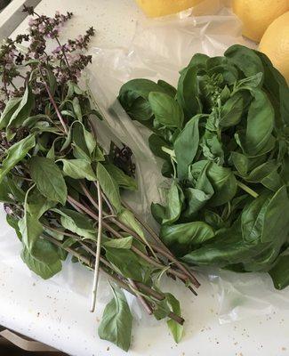 Super fresh Thai and sweet basil