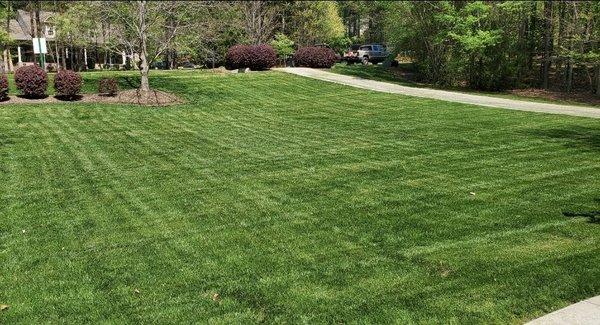 Mowing and Weed Treatment with Fertilizer