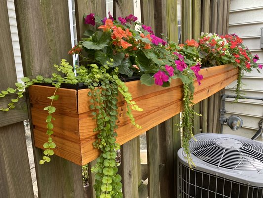 Custom Flower Box