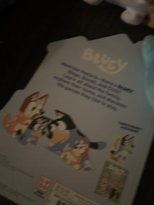 bluey book