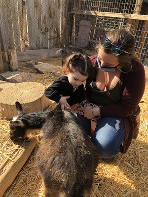 Petting the goats