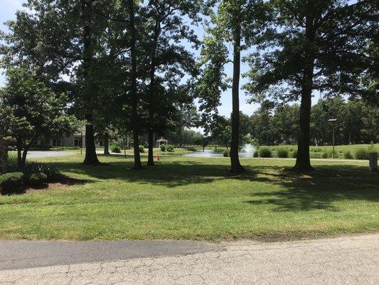 They're pond and bridge next to the clubhouse.