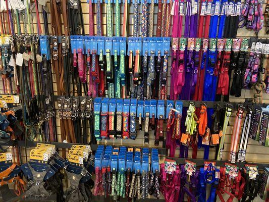 Extensive leash and collar selection.