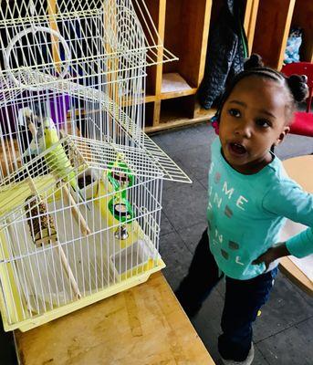 Exploring science and nature in the classrooms