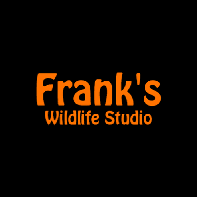 Frank's Wildlife Studio