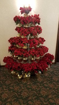 Annual Poinsettia Christmas Tree