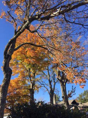 Fall colors in Blowing Rock