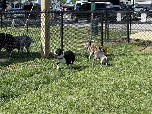 They have 2 dog parks. One for bigger dogs and one for smaller dogs.