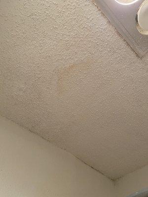 Mold and water damage on ceiling