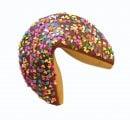 giant fortune cookie decorated with sprinkles