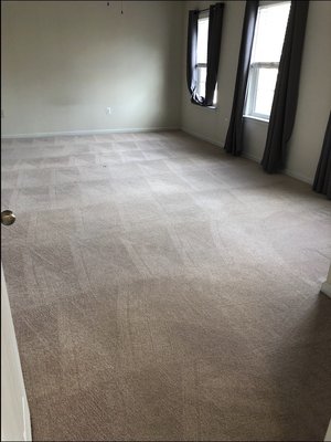 Carpet cleaning