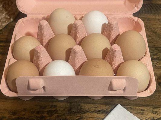 You won't find eggs any fresher than these!