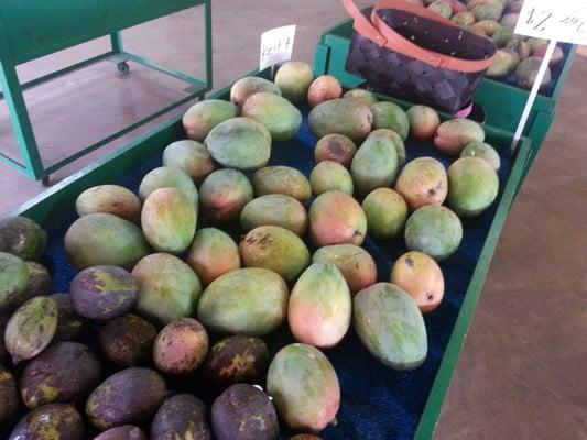 You can find awesome local mangos all summer long