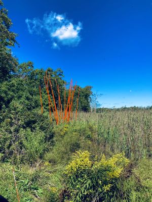 The Sperlak Gallery -- sculpture garden