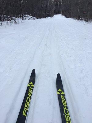 On the Lester xc trail