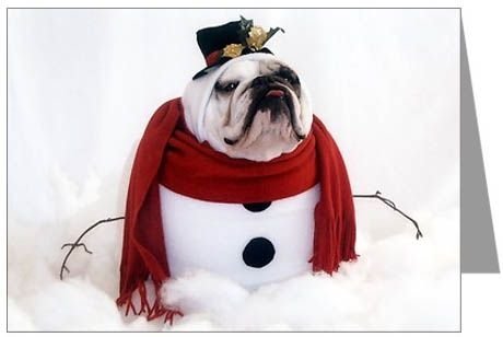 Frosty the bulldog wishes you Happy Holidays !