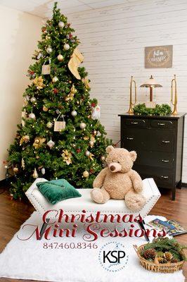 Call to book a Christmas minisession 847.460.8346. They're here just in time for Christmas cards and gifts!