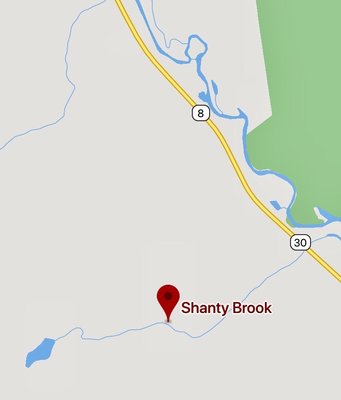 Shanty Brook