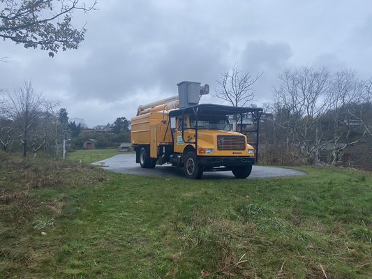 CAM Tree Service