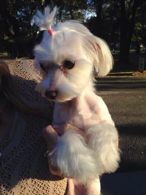 Izzy with her "pebbles" look.