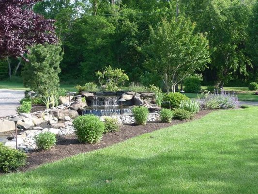 Water Feature Lawn Trees