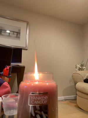 Yankee Candle Company