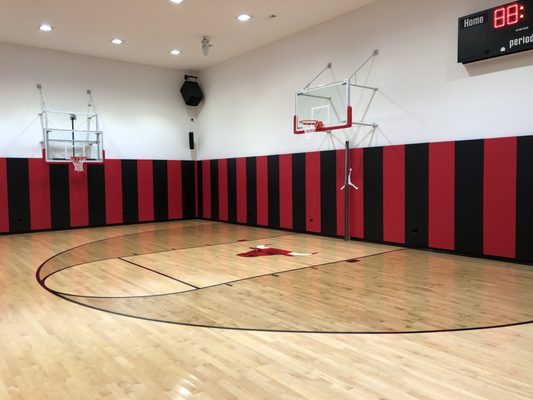 Custom Home Basketball Court with Bulls logo and theme