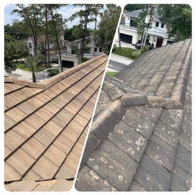 Before and After concrete tile roof cleaning!