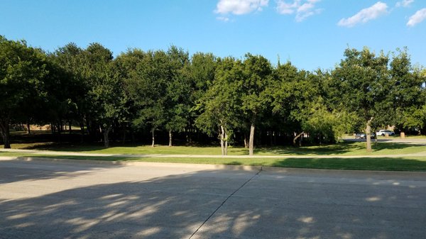 Lots of trees and shady areas