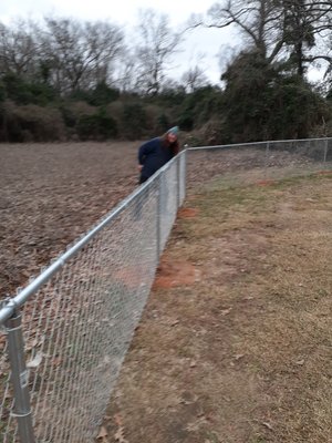 Chain link fence