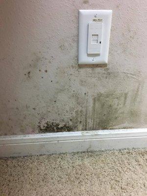 water damage and the mold that has been leaking into my house and down my walls